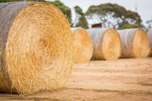baling twine suppliers